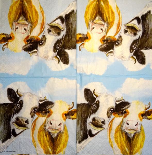 179 Cows - 3-ply - Ambiente